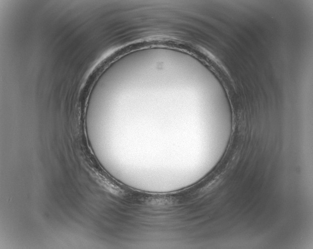 X0000078881021200612042018