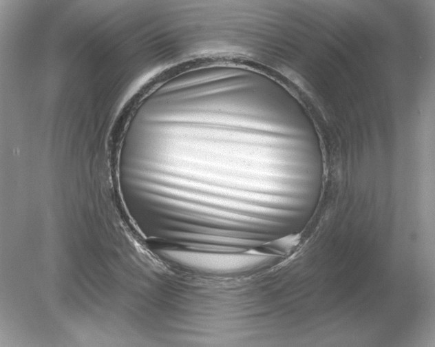 X0000078881022200612042019