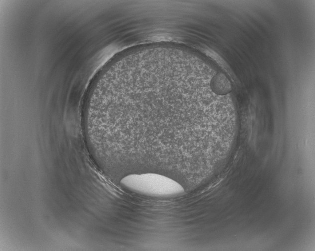 X0000078881023200612042019