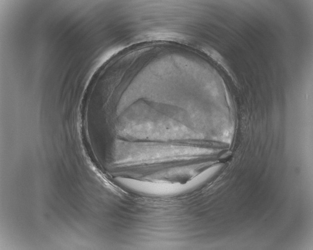 X0000078881024200612042019