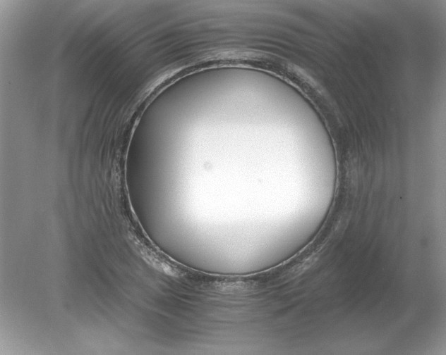 X0000078881025200612042019