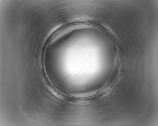 X0000078881026200612042019