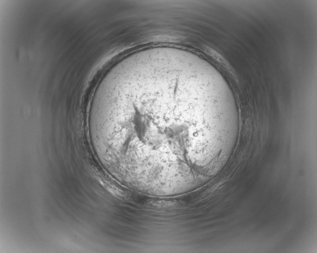 X0000078881027200612042019