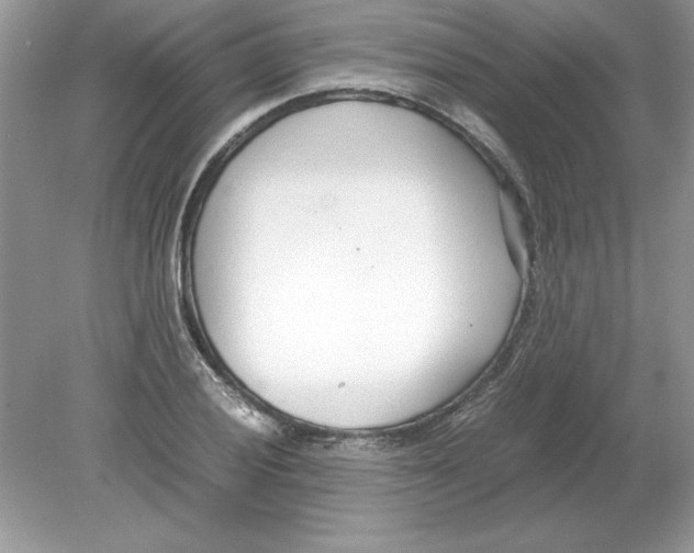 X0000078881028200612042019