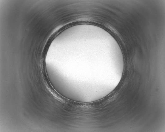 X0000078881029200612042019