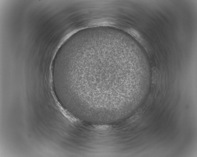 X0000078881031200612042019