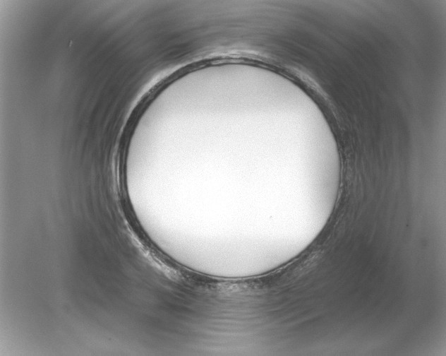 X0000078881032200612042019