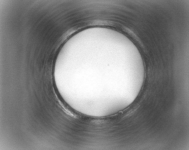 X0000078881033200612042019