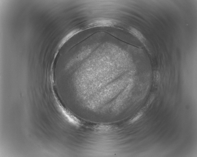 X0000078881034200612042019