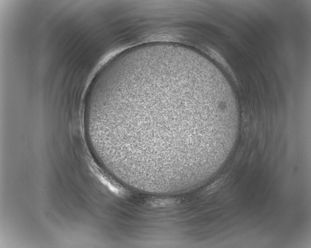 X0000078881035200612042019