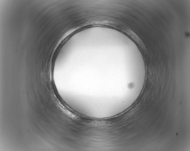 X0000078881036200612042019