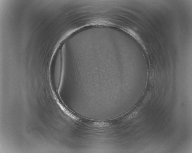 X0000078881037200612042019