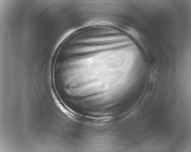 X0000078881038200612042019