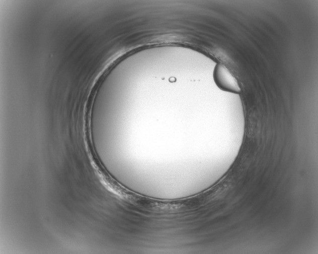 X0000078881039200612042019