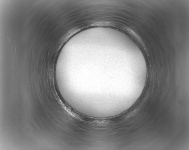 X0000078881041200612042019