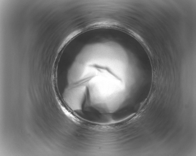 X0000078881042200612042019