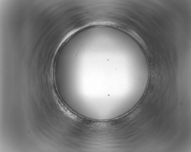 X0000078881044200612042019