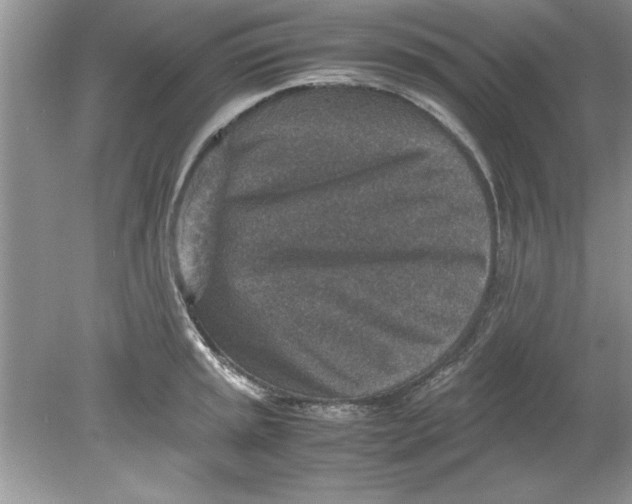 X0000078881045200612042019