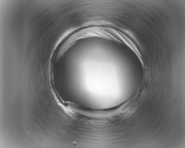 X0000078881046200612042019