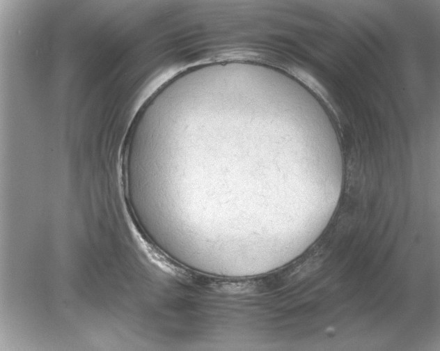 X0000078881047200612042019