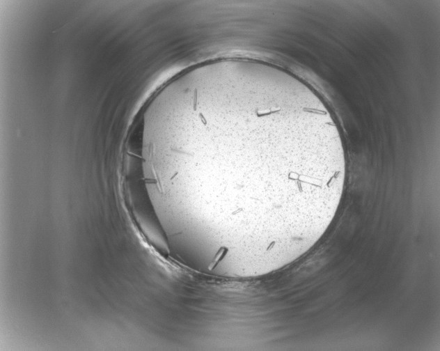 X0000078881048200612042019