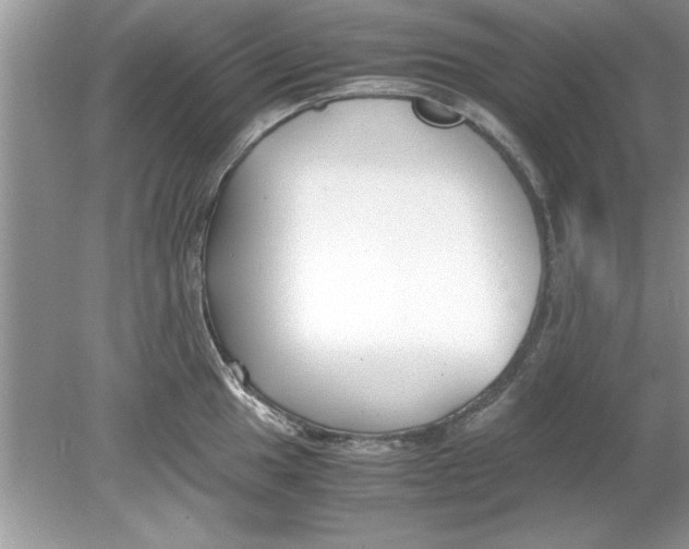 X0000078881049200612042019