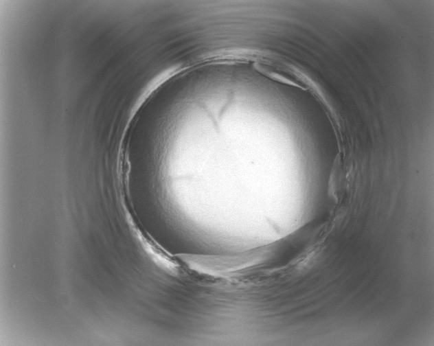 X0000078881050200612042019