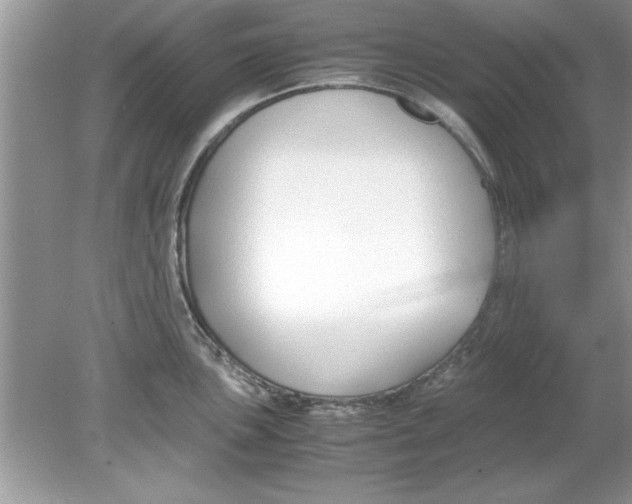 X0000078881051200612042019