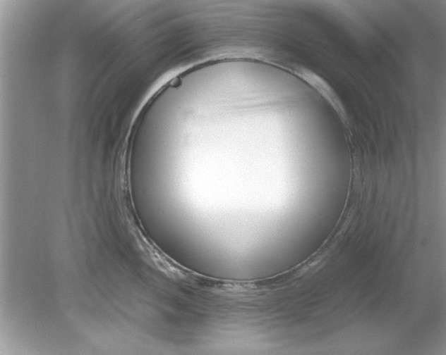 X0000078881052200612042019