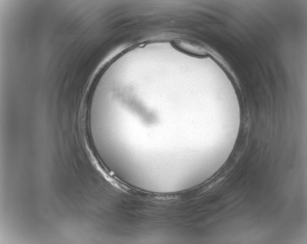 X0000078881053200612042019