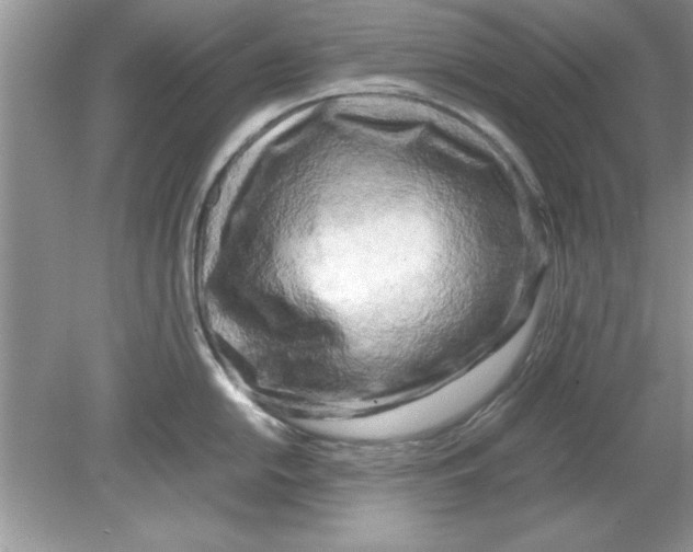 X0000078881054200612042019