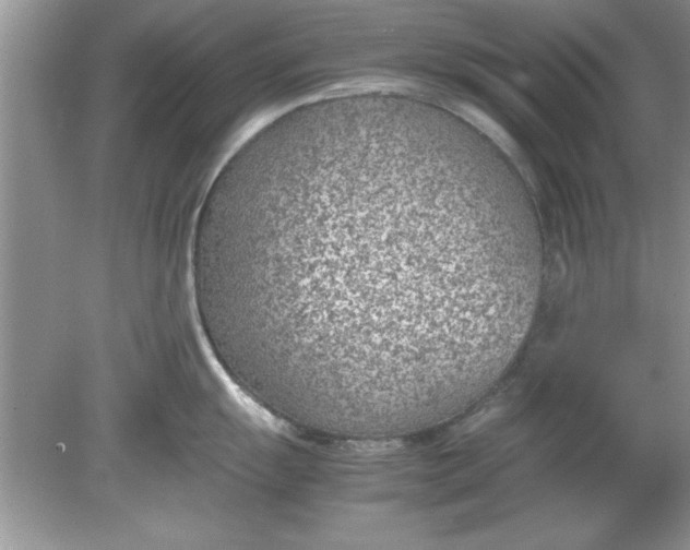 X0000078881055200612042019