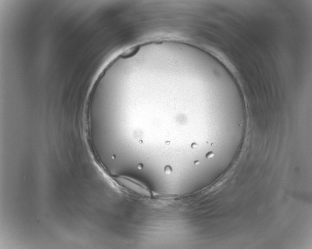 X0000078881056200612042019