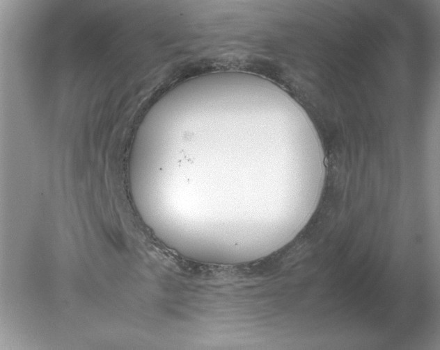 X0000078881057200612042018