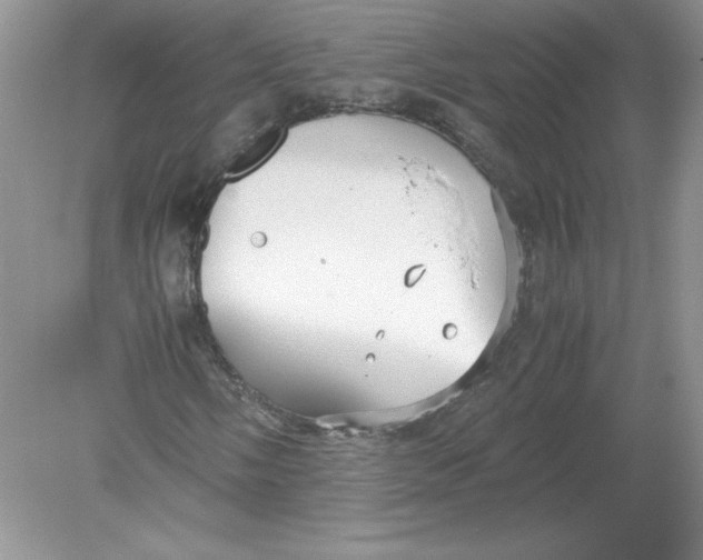 X0000078881058200612042018