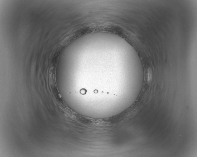 X0000078881059200612042018