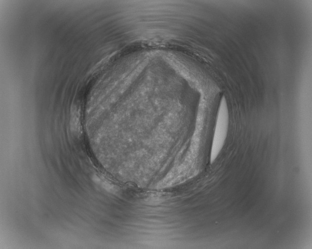 X0000078881060200612042018