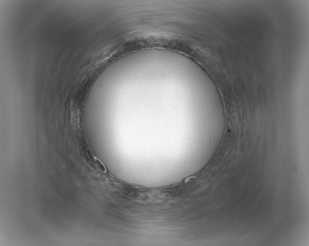 X0000078881061200612042018