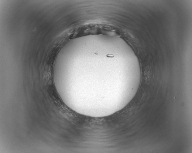 X0000078881062200612042018