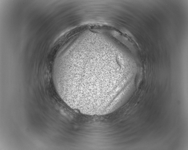 X0000078881064200612042018