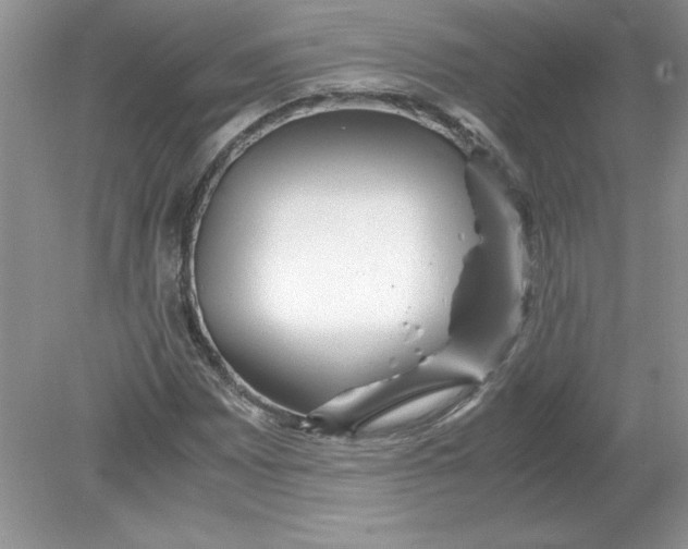 X0000078881065200612042018