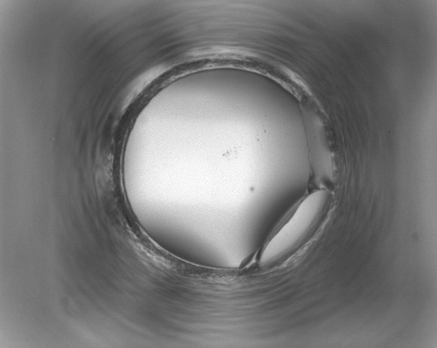 X0000078881066200612042018