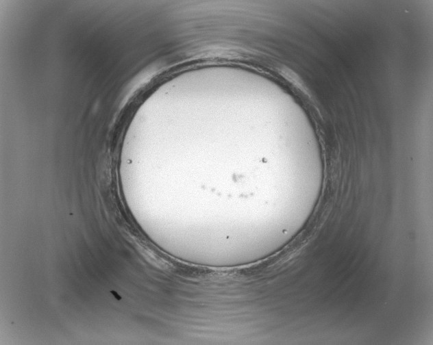 X0000078881067200612042018