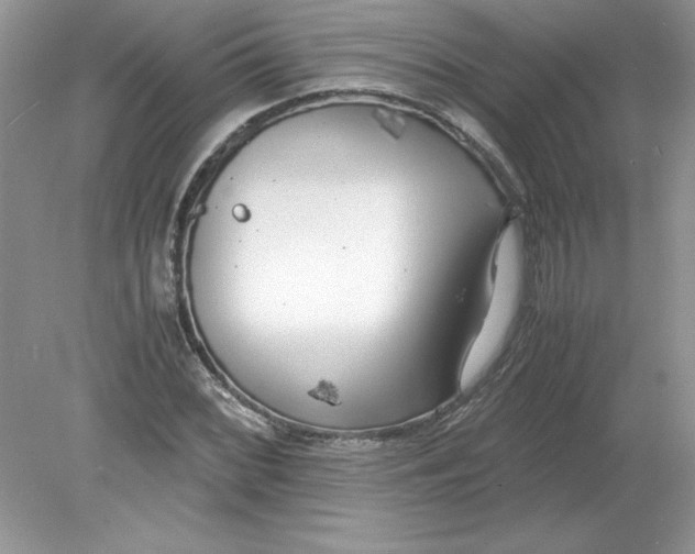 X0000078881068200612042018