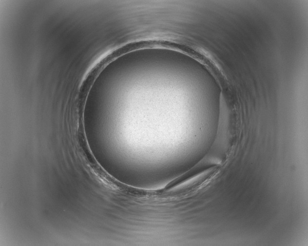 X0000078881069200612042018