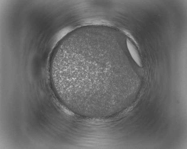 X0000078881071200612042018