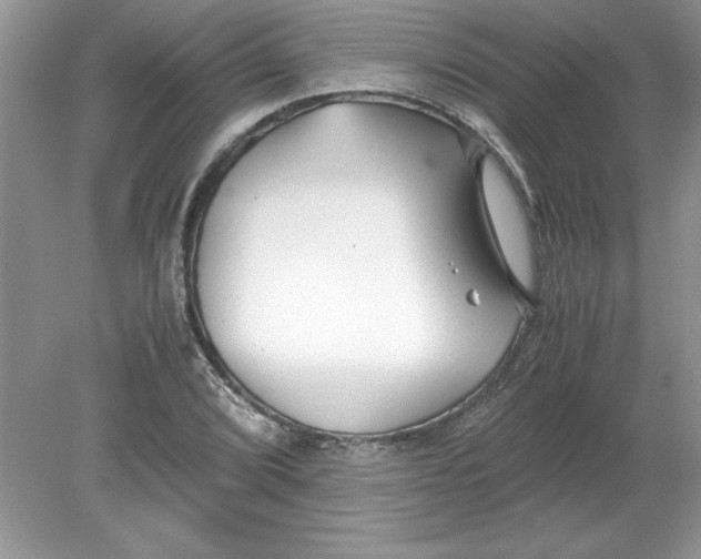 X0000078881072200612042018