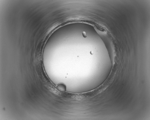 X0000078881073200612042018