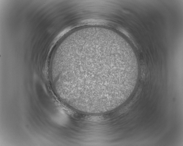 X0000078881074200612042018