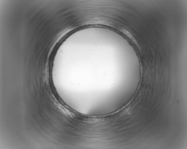 X0000078881076200612042018